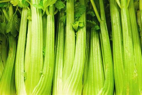 Health Benefits Of Celery Leaves And Juice | Jiji Blog