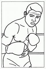 Boxer Coloring Pages  Coloring Home sketch template
