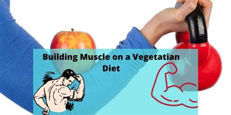 Building Muscle on a Vegetarian Diet | 9 Foods You Must Know ...