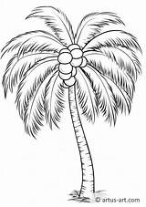 Coconut Palm Coloring Page » Free Download Artus Art sketch template