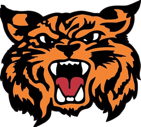 4.5in x 4in Orange Black Wildcat Bumper Sticker Decal Vinyl Window ...