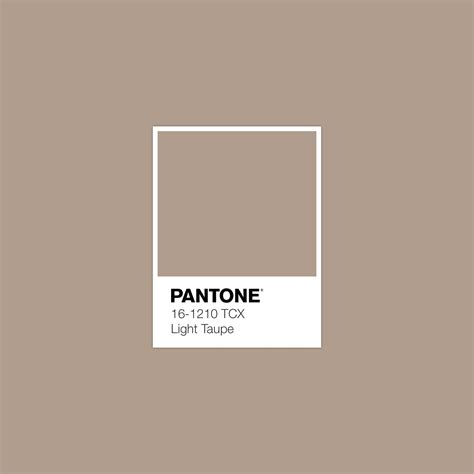 Ideal Pantone Taupe Colors Color System