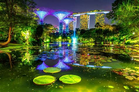 Gardens by the Bay night stock photo. Image of illuminated - 117180650