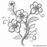 Flower Vine Coloring Pages  Free & Printable sketch template