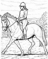 Dressage Horse Coloring Pages At GetDrawings  Free Download sketch template