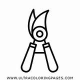 Clippers Coloring Pages For Kids  Free To sketch template