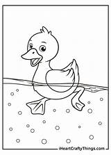Ducks Pond Iheartcraftythings sketch template