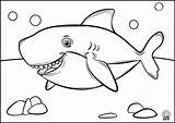 Types Of Sharks Coloring Pages sketch template