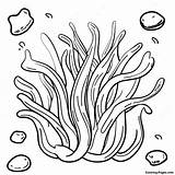 Seaweed Coloring Page  Pagescom sketch template