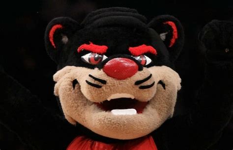 55 best images about College Mascots: American (AAC) on Pinterest