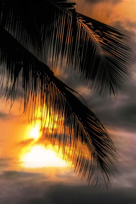 Negombo Highlights: Sunsets (Sri Lanka) - Tumblr Pics