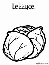 Lettuce Coloring Page sketch template