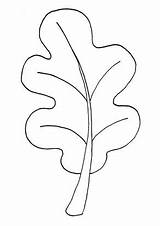 White Oak Leaves Coloring Page  Vrogueco sketch template