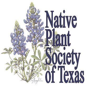 Native Plant Society of Texas – Texan By Nature