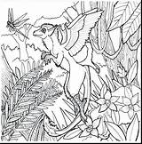 Rainforest Plants Coloring Pages At Webbaileeblog Blog sketch template