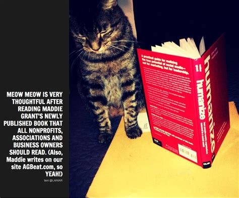 meow meow. | Organization, Books, Succeed