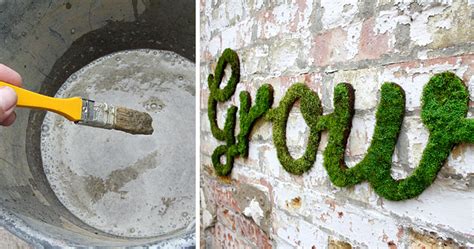 Moss Graffiti: The Coolest DIY Project Ever | Bored Panda