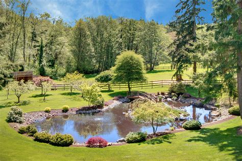 Pastures and ponds, perfect. | Pond landscaping, Farm pond, Natural pond