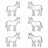 Premium Vector  Mule coloring page sketch template