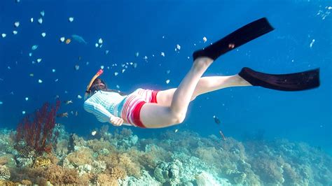 Looe Key Snorkeling Some of the Best in the Florida Keys - Video