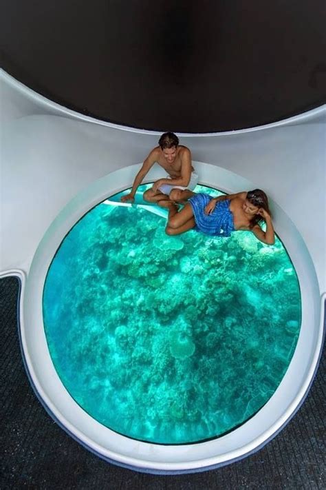 Who wants to take a ride on the glass bottom boat at Conrad Maldives ? (mit Bildern)