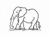 Cartoon Elephant Coloring Pages  sketch template