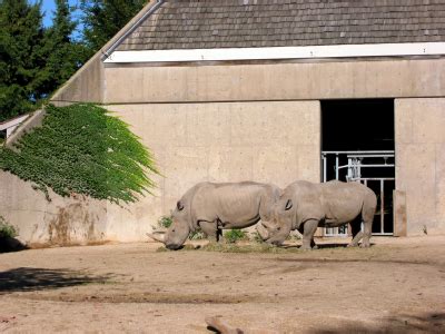 Henry Vilas Zoo in Madison, Wisconsin