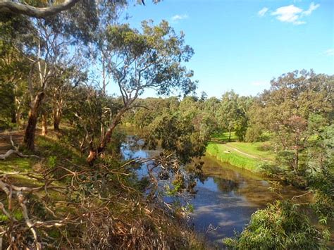 TRACKS, TRAILS AND COASTS NEAR MELBOURNE : Galatea Point - Yarra Bend Park