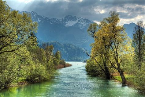 Free photo: River and trees - Forest, Green, Landscape - Free Download - Jooinn