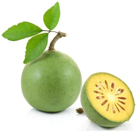 Buy Bael Fruit Tree Seeds - Bilva;Vilvam;Bela;Maredu Seeds - 20 Seeds for Growing by Creative ...