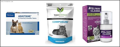 Top 10 Best Cat Sedative For Travel - Available On Market - My TrendiTex