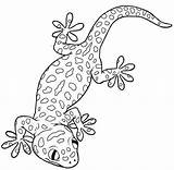 Printable Gecko Coloring Pages  KaydenceecMaxwell sketch template