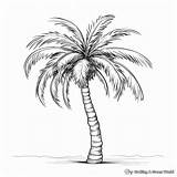 Palm Tree Coloring Pages  Free & Printable sketch template