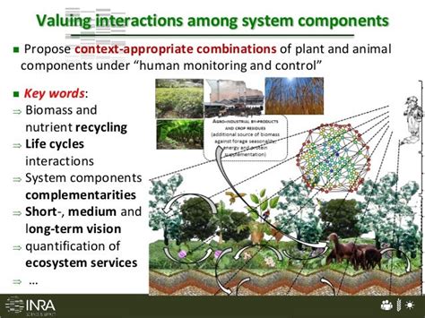 Livestock and Agroecology: Redesigning animal production systems