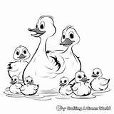 Duck Coloring Pages  Free & Printable sketch template