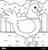 Chicken Coloring Pages sketch template
