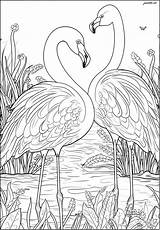 Two Pretty Pink Flamingos In A River  Bird Coloring Pages For Adults sketch template