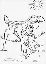 deer And Rabit Animal coloring Page Dengan Gambar sketch template