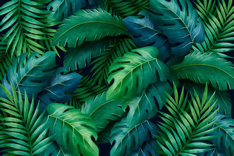 Tropical Leaves Illustration | Free Download | Green leaf background, Leaf background, Leaves ...