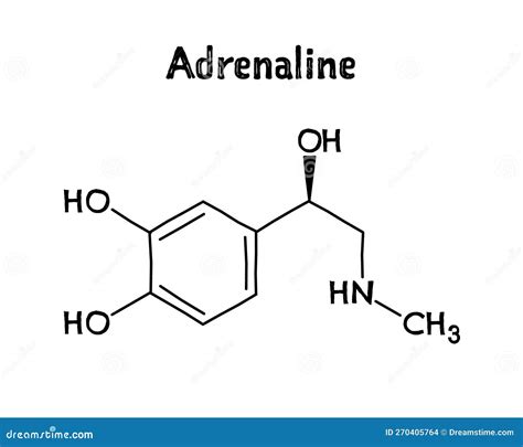 Adrenaline Structural Formula of Molecular Structure Stock Vector ...