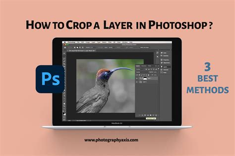 How to Crop a Layer in Photoshop – 3 Best Methods - PhotographyAxis