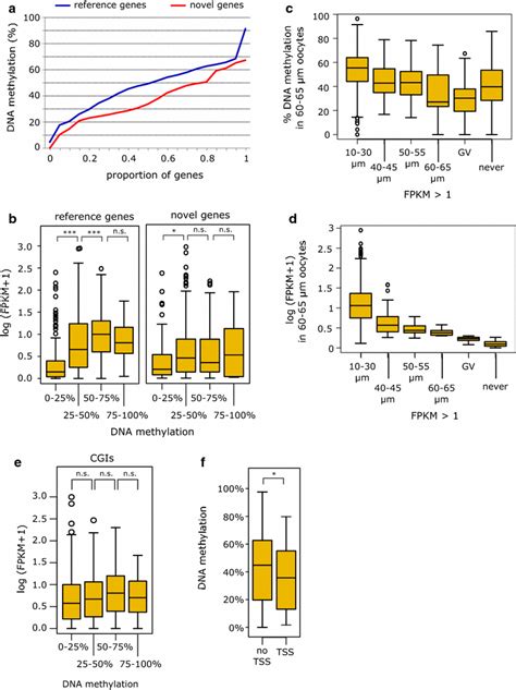 Gene body and CpG island methylation kinetics in relation to... | Download Scientific Diagram