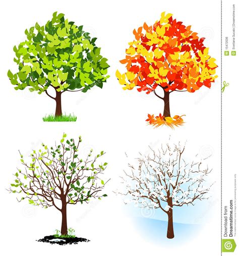 tree seasons clipart 20 free Cliparts | Download images on Clipground 2024