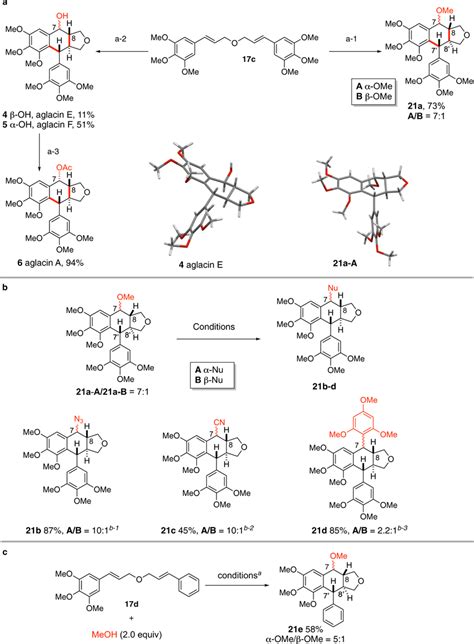 Synthesis of C7-functionalized aryltetralin cyclic ethers a Total ...