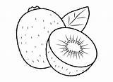 40  Kiwi Fruit Coloring Pages Free Printable PDF JPG PNG & Online sketch template