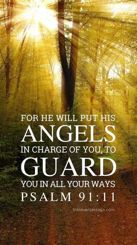 Forest Rays Psalm 91:11 – Encouraging Bible Verses