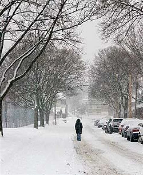 Storm could drop another 25 cm of snow | CBC News