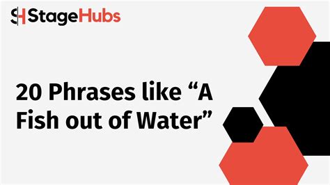 20 Phrases like “A Fish out of Water”