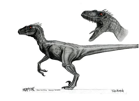 Image - Velociraptor macho.jpg - Park Pedia - Jurassic Park, Dinosaurs, Stephen Spielberg