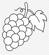 Grapes Coloring Page Printable  MiaoiGarrett sketch template